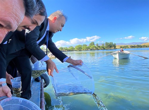 Valimiz Hayrettin Çiçek’in katılımı ile Çıldır Gölüne 150 bin yavru sazan balığı bırakıldı (08.09.2023)